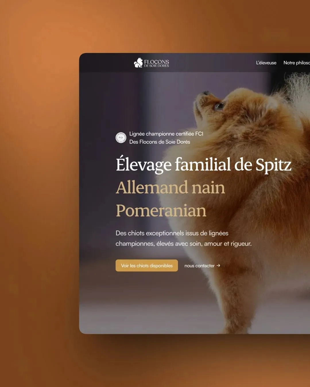 Coton de Soie website by We Developz: Branding · Design · Development